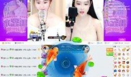 茜茜爆料视频大全集,揭秘娱乐圈幕后真相