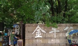 金牛区爆料新闻最新消息,突发事件引发广泛关注