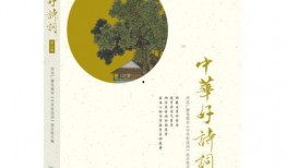 中华好诗词在线观看,传承千年文化魅力