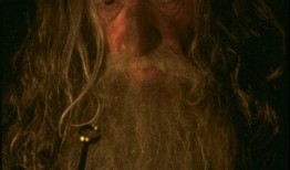 指环王1 魔戒在线观看,踏上征程，拯救中土世界的奇幻之旅