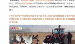 丽水网友爆料新闻报道视频,最新新闻报道视频引发热议