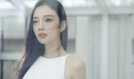 小雅夫妇爆料事件视频,揭秘背后惊人真相