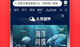 定格爆料今日头条新闻