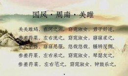 君子好逑1在线观看,浪漫邂逅，心动之旅