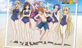 后宫爱在线观看