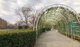 秦皇岛市最新公园爆料,探秘秦皇岛公园最新爆料