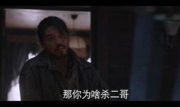 恶毒的兄弟在线观看,在线观看揭示家族复仇的黑暗面