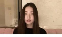 爆料宋智雅假货视频大全,视频大全揭露惊人真相