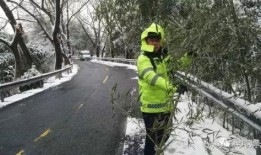 风雪同行在线观看,共度严寒，见证真挚友谊