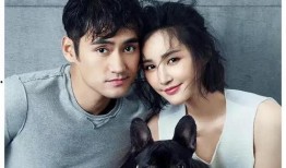 明星吃大瓜小说免费阅读,明星吃大瓜，幕后真相大揭秘