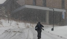 风雪同行在线观看,共度严寒，见证真挚友谊