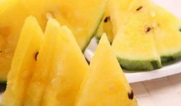 在哪吃网红瓜好吃呢视频,探寻最佳品尝地