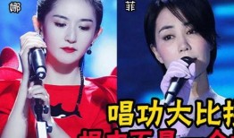 扒叔大爆料刘亦菲视频播放,刘亦菲视频播放背后的惊人真相