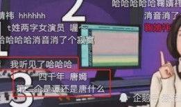 配音爆料小鱼屋视频,小鱼屋视频背后的精彩故事