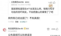 网友爆料陈某志视频,陈某志视频引发热议，真相究竟如何？