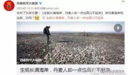 新闻爆料缅甸视频播放