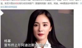 新疆明星爆料新闻报道最新,揭秘明星背后的故事与情感纠葛