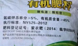 吃瓜黄料记录免费,一场全民参与的趣味追踪之旅