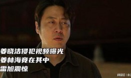 爆料巡回检察官视频播放,视频爆料背后的真相与争议