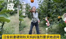 有关秋天妈妈的最新爆料,明星育儿日常与心路历程