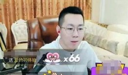 王小源爆料二哥视频大全,二哥视频大全背后的故事与真相