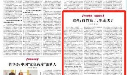 人民日报爆料焦作新闻最新消息,人民日报曝重磅新闻，揭秘事件真相