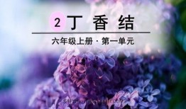 丁香在线观看免费,探索医学知识的无限可能