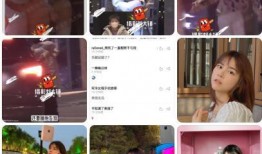 狗仔铁锤爆料视频大全集,视频大全集深度解析