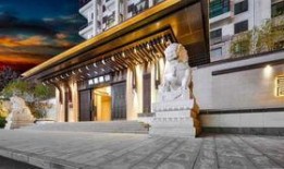 桐乡网红最新爆料,揭秘当地热门事件背后的真相