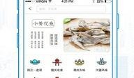 陆丰新闻爆料在哪里看啊,揭秘最新资讯获取途径