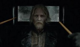 新神奇动物爆料视频,神秘生物与魔法世界全新篇章