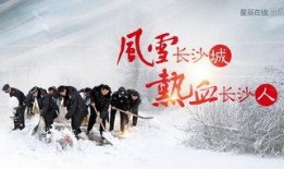 风雪同行在线观看,共度严寒，见证真挚友谊