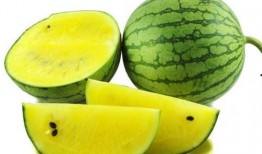 qq网红吃瓜猛料黄料,QQ网红吃瓜猛料，黄料事件引发热议