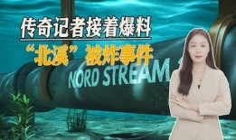 北溪爆料记者事件视频播放