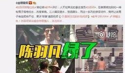 韩国研究所爆料视频大全,独家爆料视频大全深度解析