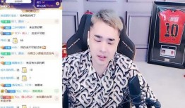 王小源爆料二哥视频大全,二哥视频大全背后的故事与真相