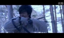 风雪武者在线观看,逆境崛起的武侠传奇