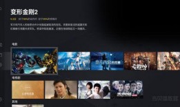 襄阳新闻大爆料视频播放