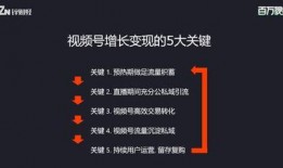 古董商外网爆料视频