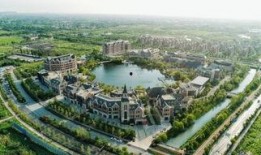 桐乡网红最新爆料,揭秘当地热门事件背后的真相