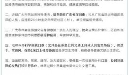 深圳猫租客最新爆料新闻,揭露租房行业潜规则与猫患问题