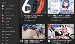 热门小视频爆料网站,揭秘网络热点背后的真相