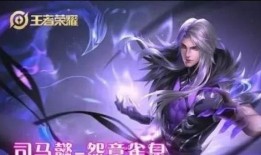 司马皮肤爆料视频最新版,揭秘神秘新皮肤背后的故事与设计理念