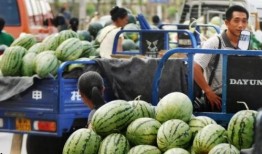 沭阳男网红吃瓜,趣味横生幕后花絮大揭秘