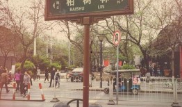 西安八七路最新爆料消息,揭秘神秘项目进展与周边影响