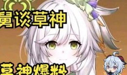 原神草神爆料视频在哪看,揭秘神秘新角色
