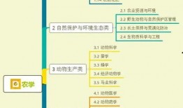 狗仔铁锤爆料视频大全集,视频大全集深度解析