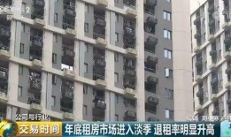 央视最新爆料深圳,央视最新揭秘，创新之城发展新动向