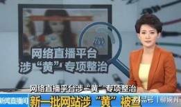 电网女职工爆料事件视频,揭露职场隐秘真相