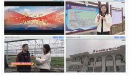 新闻爆料视频创作,事件真相与背后故事